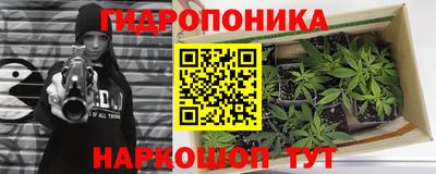 стаф Ливны