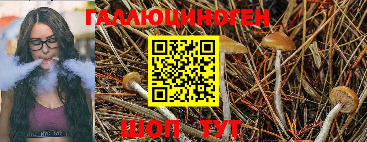 Галлюциногенные грибы Psilocybine cubensis  Вход с VPN  Елец  Псилоцибиновые грибы Magic Shrooms 